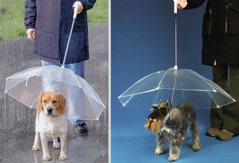The Dogbrella.jpg
